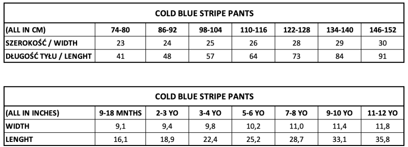 COLD BLUE STRIPE PANTS.png