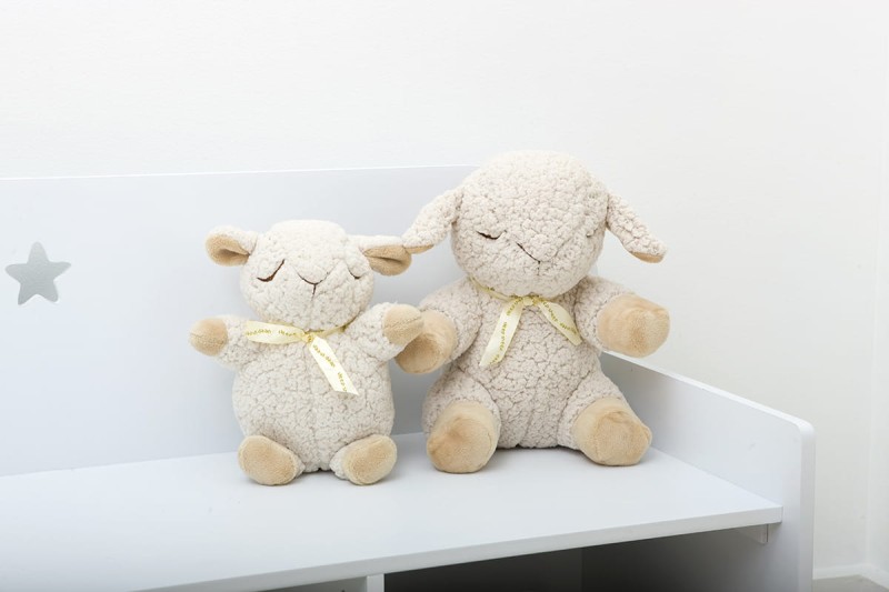 Cloud-b-Sleep-Sheep-Pozytywka-Spiaca-Owieczka-polkabubu-7.jpg