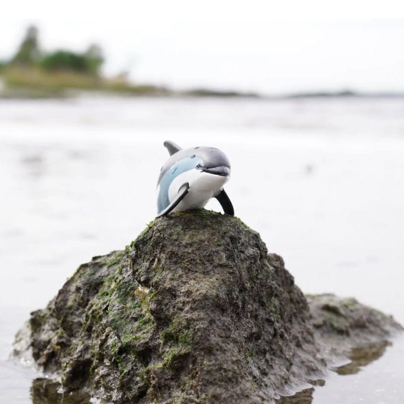 safari-delfin-atlantycki-figurka-polkabubu-5.jpg