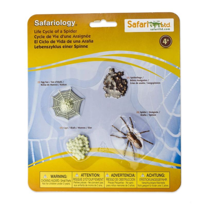 safari-cykl-zycia-pajaka-figurki-polkabubu-2.jpg