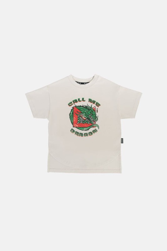 minikid-sklep-DRAGON TSHIRT-polkabubu-29.jpg