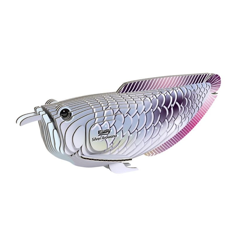 124-ryba-srebrna-arowana-eugy-polkabubu-4.jpg