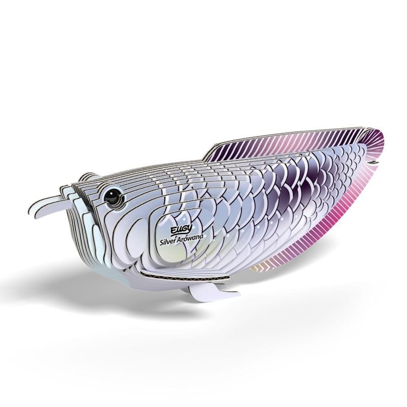 124-ryba-srebrna-arowana-eugy-polkabubu-6.jpg