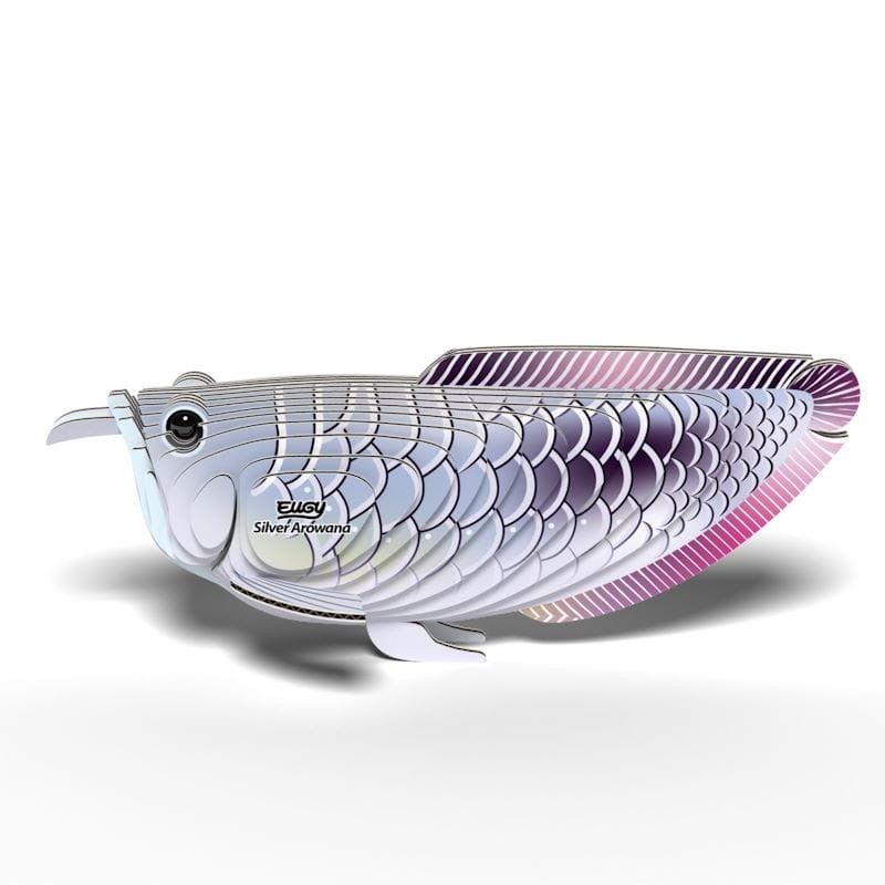 124-ryba-srebrna-arowana-eugy-polkabubu-7.jpg