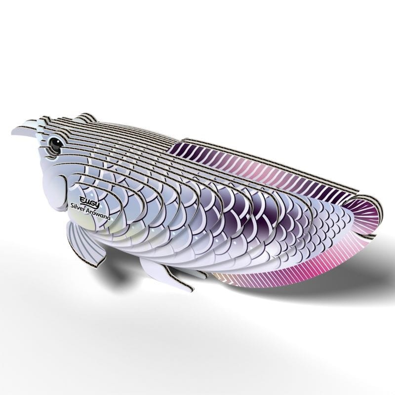 124-ryba-srebrna-arowana-eugy-polkabubu-8.jpg
