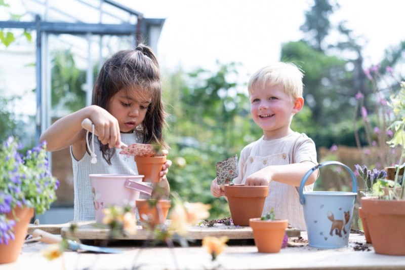 Little-Dutch-Truskawka-do-samodzielnej-uprawy-polkabubu-4.jpg