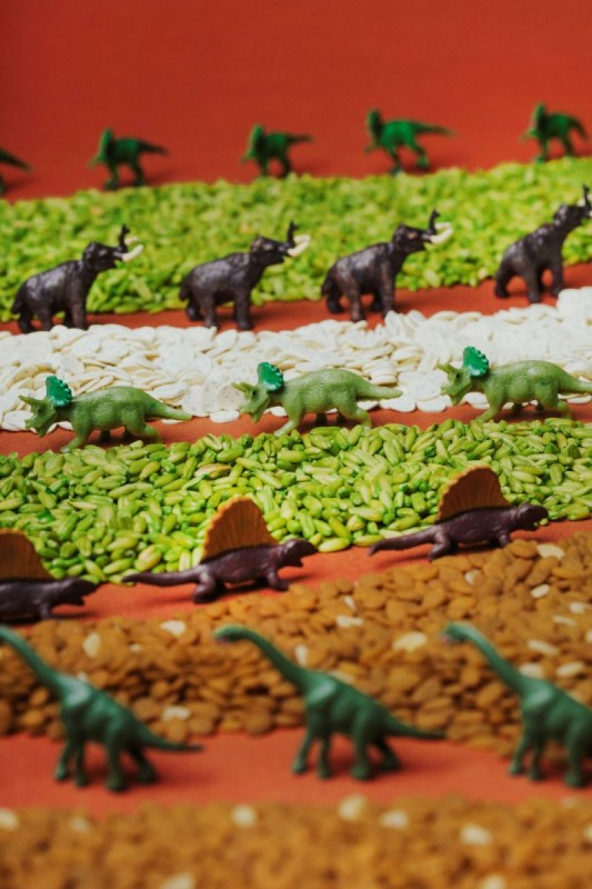 Petit-Boum-Butelka-obserwacyjna-dinozaury-JURASSIC-polkabubu-9.jpg