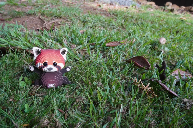 eko ukladanka czerwona panda eugy 13.webp