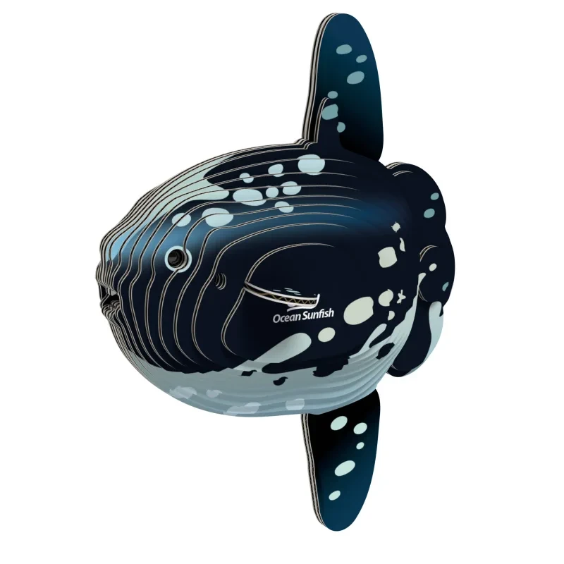 132_Ocean_sunfish_white.webp