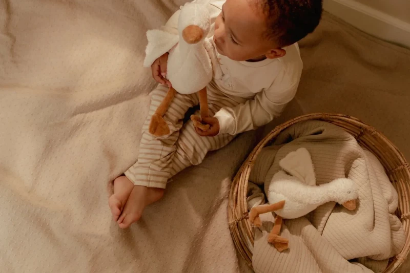 cuddle-little-goose-25cm-17cm-ld8404-ld8405-1 - Medium.webp
