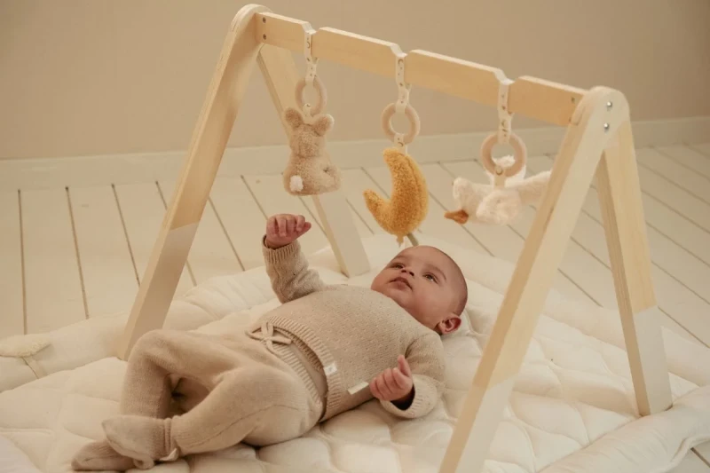 baby-gym-newborn-naturals-ld8410-6 - Medium.webp