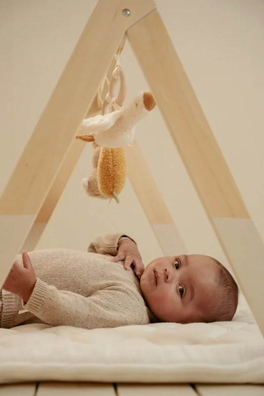 baby-gym-newborn-naturals-ld8410-9 - Medium.webp