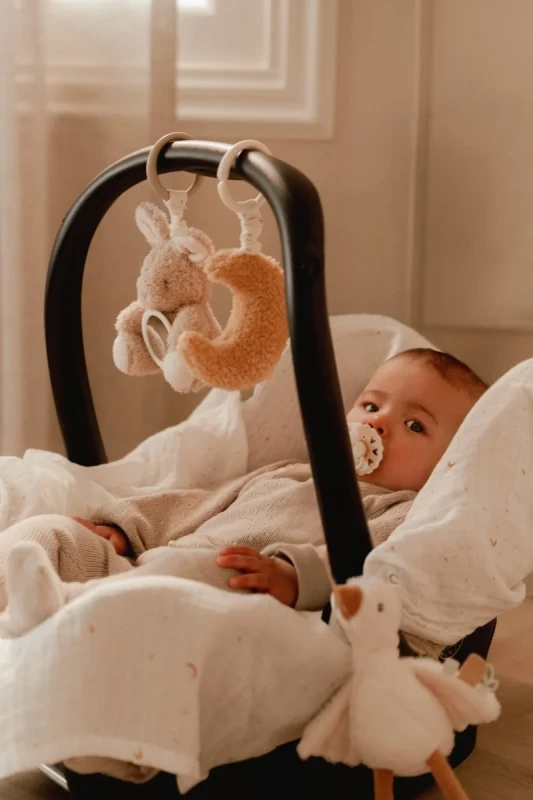 activity-hangers-newborn-naturals-ld8420-4 - Medium.webp
