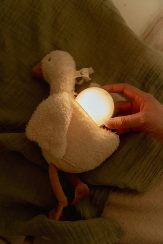 cuddle-goose-light-sound-ld8440-8 - Medium.webp