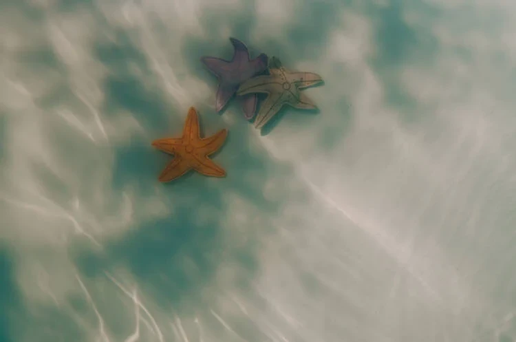 Kolorowe zabawki do basenu Sea Stars – Swim Essentials