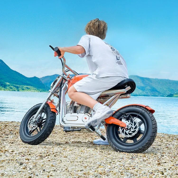 Elektryczny motocykl Hyper Gogo S9 Plus 24 km/h i zasięg 30 km