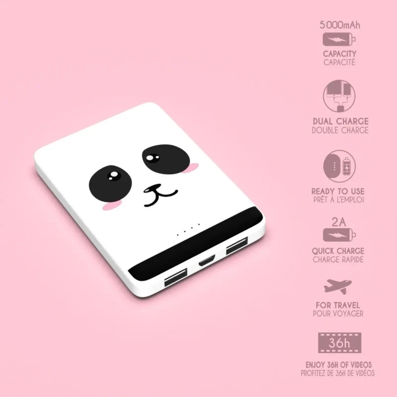Powerbank 2xUSB 5000 mAh Mobility On Board