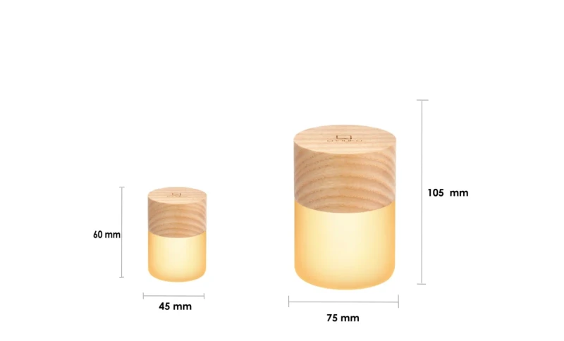 gingko-lampka-lemelia-duza-polkabubu-1abcdef.webp