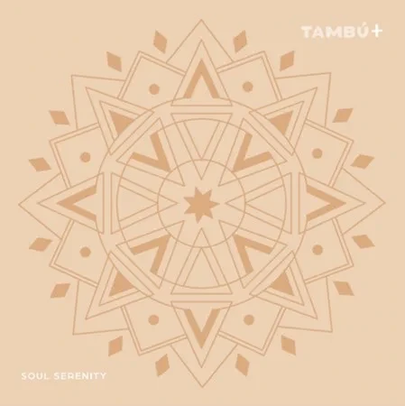Instrument muzyczny 11 tonów – Tambú+ 10 cali