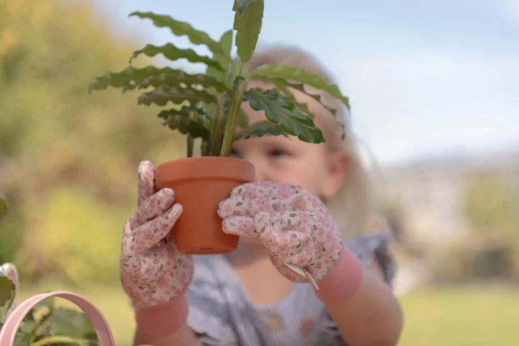 Little-Dutch-Zestaw-prezentowy-malego-ogrodnika-Fairy-Garden-polkabubu-11.webp