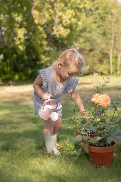 Little-Dutch-Zestaw-prezentowy-malego-ogrodnika-Fairy-Garden-polkabubu-12.webp