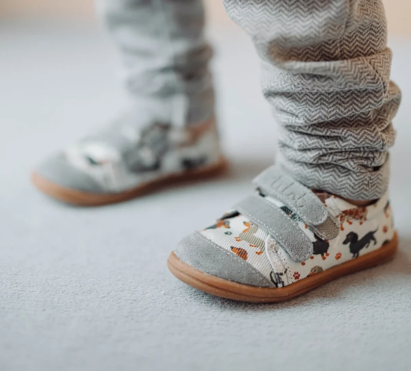 buty dziecięce z jamnikami na nogach dziecka