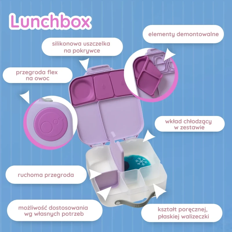 lunchbox z przegródkami i wkładem chłodzącym dla dziecka