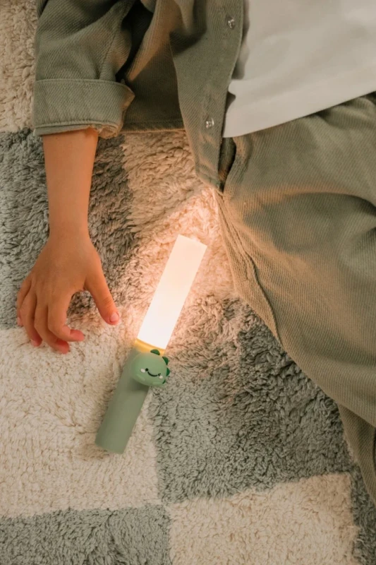 Zoo Light Dino 16.webp