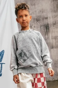 Bluza 115 BISON SWEATSHIRT ACID GREY booso