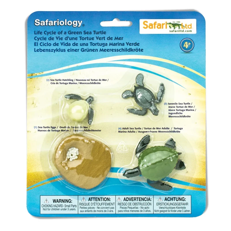 Cykl życia zielonego żółwia morskiego figurki edukacyjne Safari Ltd
