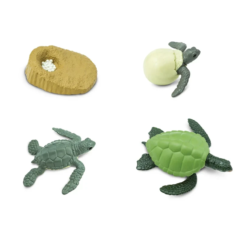 Etapy rozwoju żółwia morskiego figurki Safariology Safari Ltd