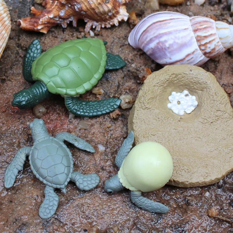 Figurki żółwia morskiego nauka biologii Montessori Safari Ltd