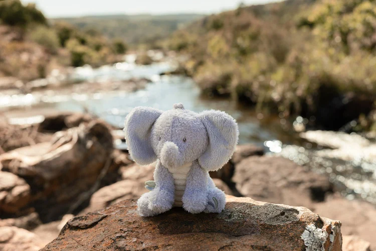 Pluszowy słoń Little Dutch Safari Friends przytulanka dla niemowląt