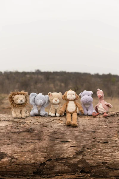 Little-Dutch-Przytulanka-Slon-17cm-Safari-Friends-polkabubu-8.webp
