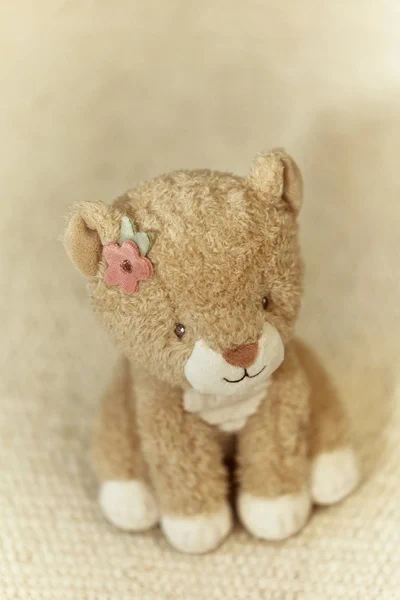 Little-Dutch-Przytulanka-Lwica-17cm-Safari-Friends-polkabubu-13.webp