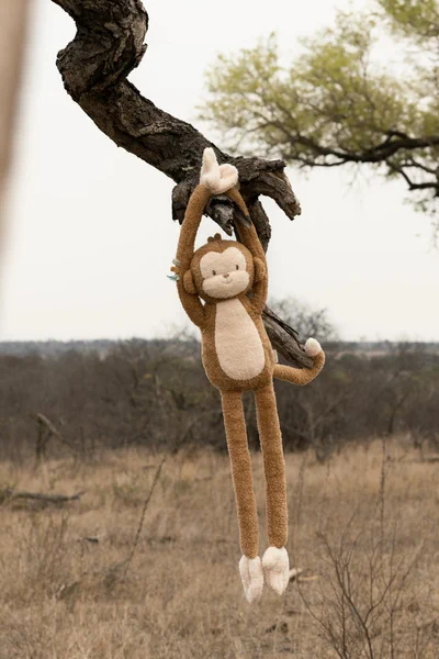 Little-Dutch-Przytulanka-duza-Malpka-Safari-Friends-GRS-polkabubu-7.webp
