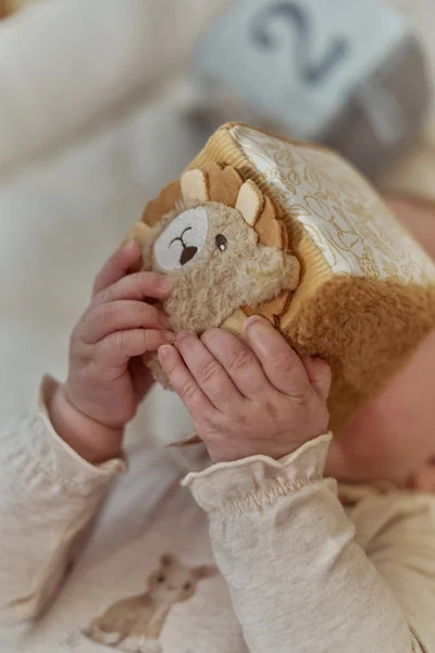 Little-Dutch-4-miekkie-kostki-aktywizujace-Safari-Friends-GRS-polkabubu-11.webp