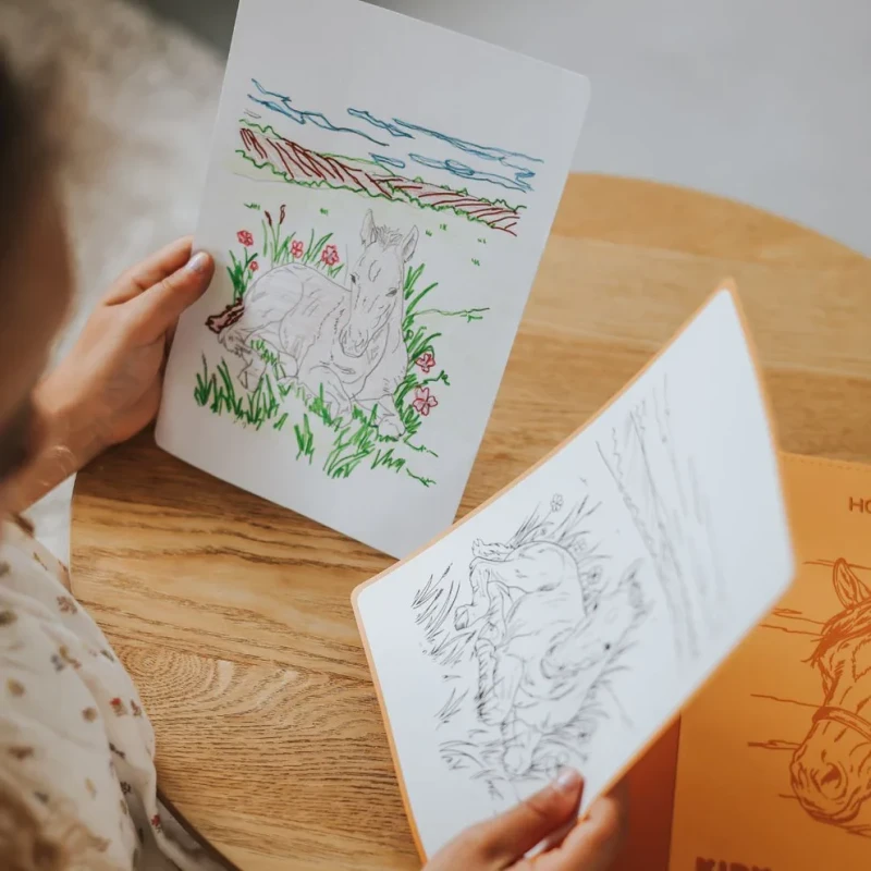Książeczka KIDYDRAW REFILL Horses 8+