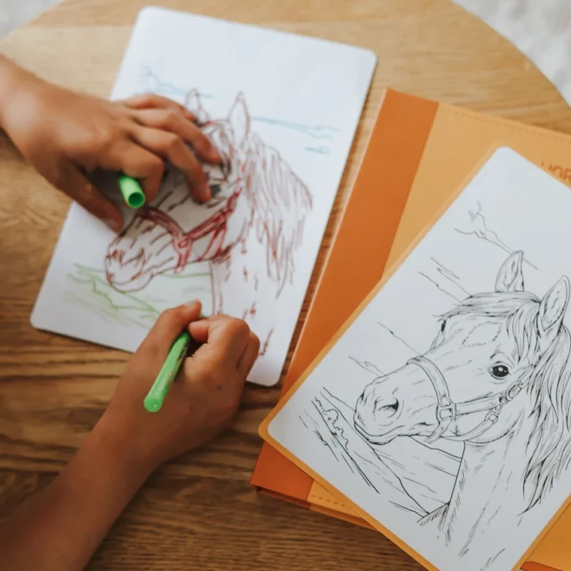 Opakowanie wkładów KIDYWOLF Horses 8+