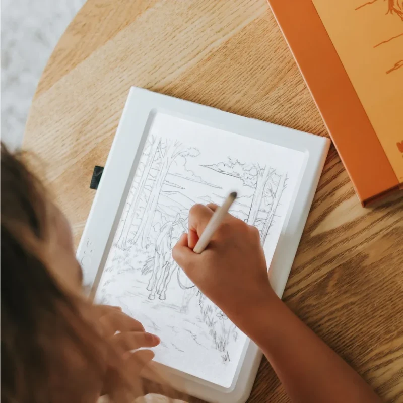 Kolorowanie ilustracji konia po odrysowaniu