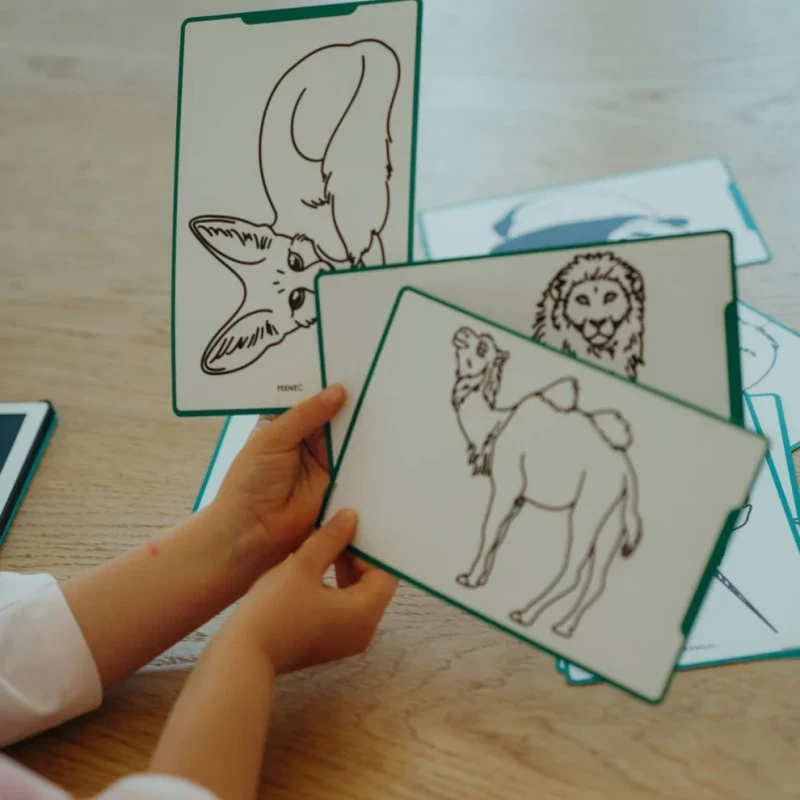 Pirackie ilustracje do tabletu KIDYDRAW MINI
