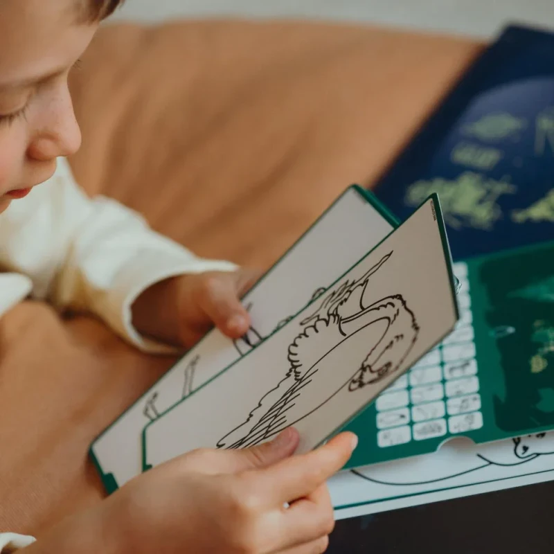 Dziecko korzystające z kart KIDYWOLF Animals Around the World