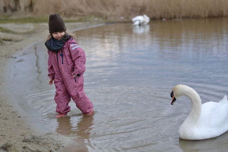 ducksday-pip-polkabubu-2.jpg