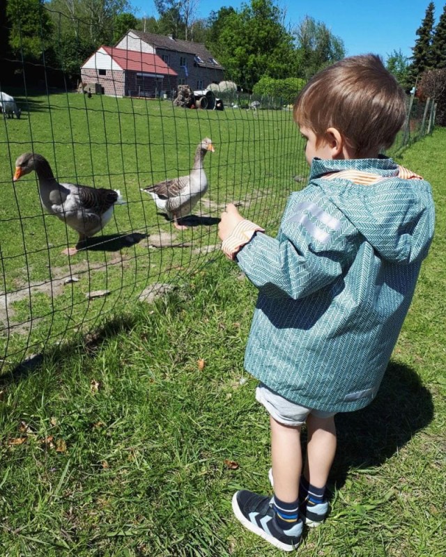ducksday-manu-polkabubu-1.jpg