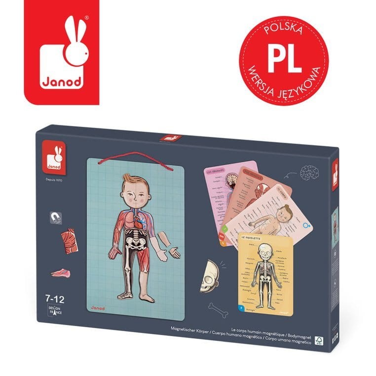 janod-Ukladanka-magnetyczna-Cialo-czlowieka-polkabubu-1.jpg