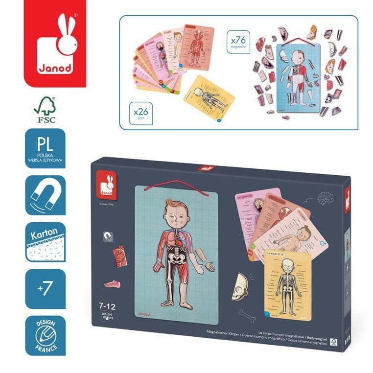 janod-Ukladanka-magnetyczna-Cialo-czlowieka-polkabubu-2.jpg