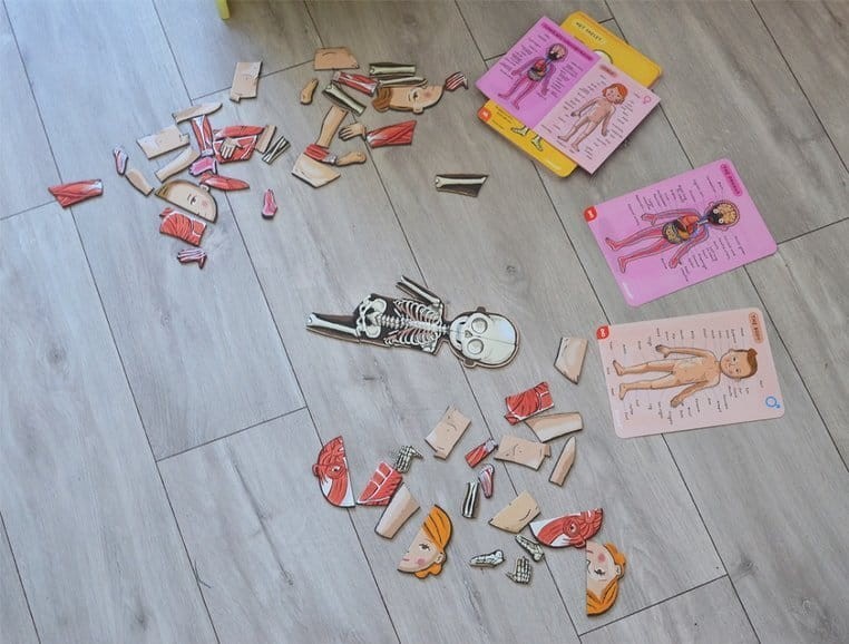 janod-Ukladanka-magnetyczna-Cialo-czlowieka-polkabubu-17.jpg
