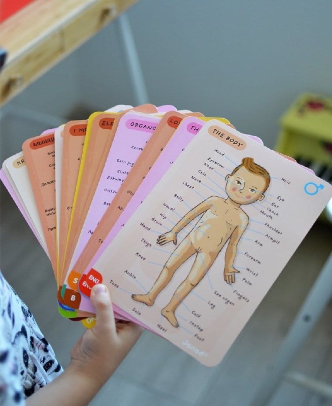 janod-Ukladanka-magnetyczna-Cialo-czlowieka-polkabubu-22.jpg