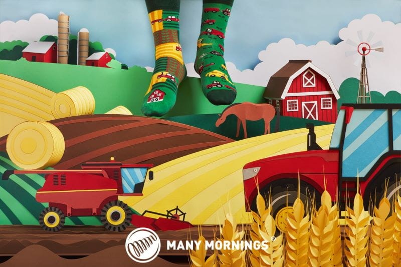 many-mornings-skarpetki-regular-happy-harvest-polkabubu-2.jpg