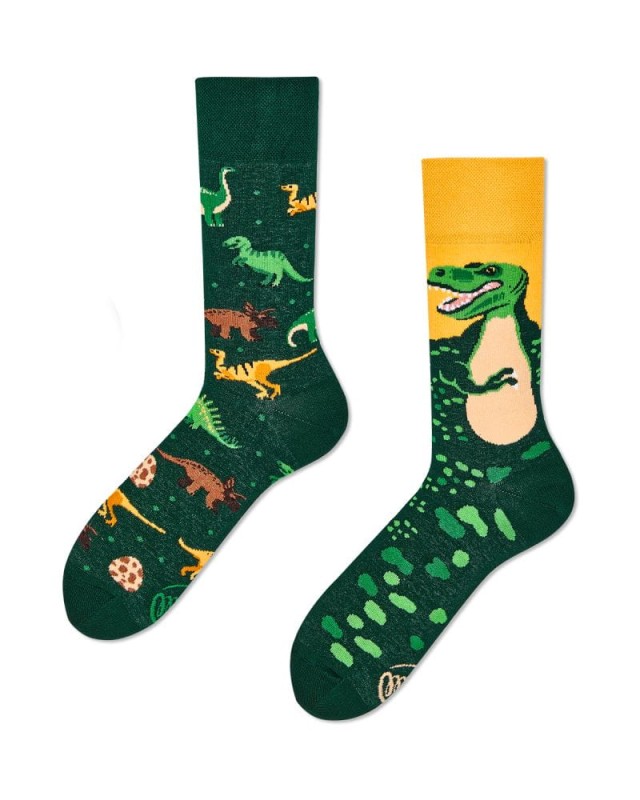 many-mornings-skarpetki-regular-the-dinosaurs-polkabubu-1.jpg